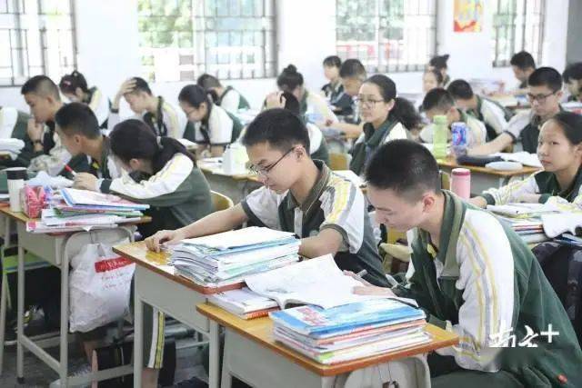 东莞中学附属小学，孕育未来之星的摇篮