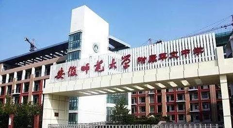 安师大附属小学，培育未来之星摇篮