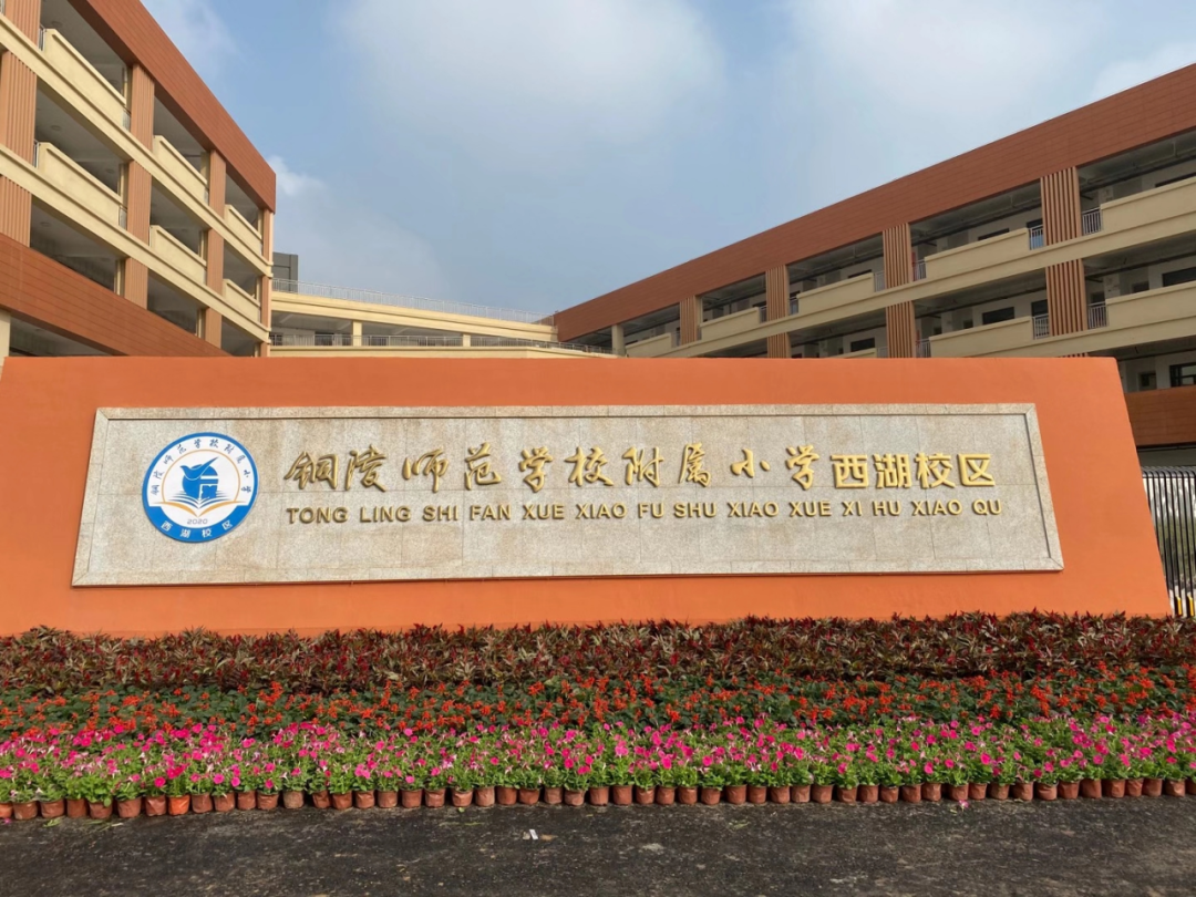 师范路附属小学，孕育未来的教育圣地