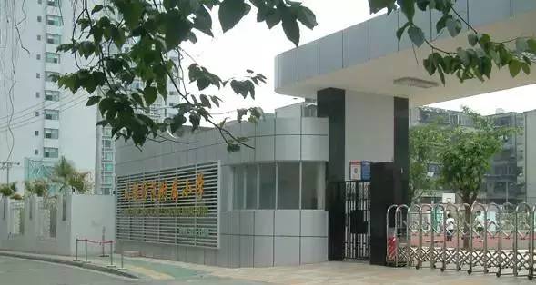 附属小学办学方案概览