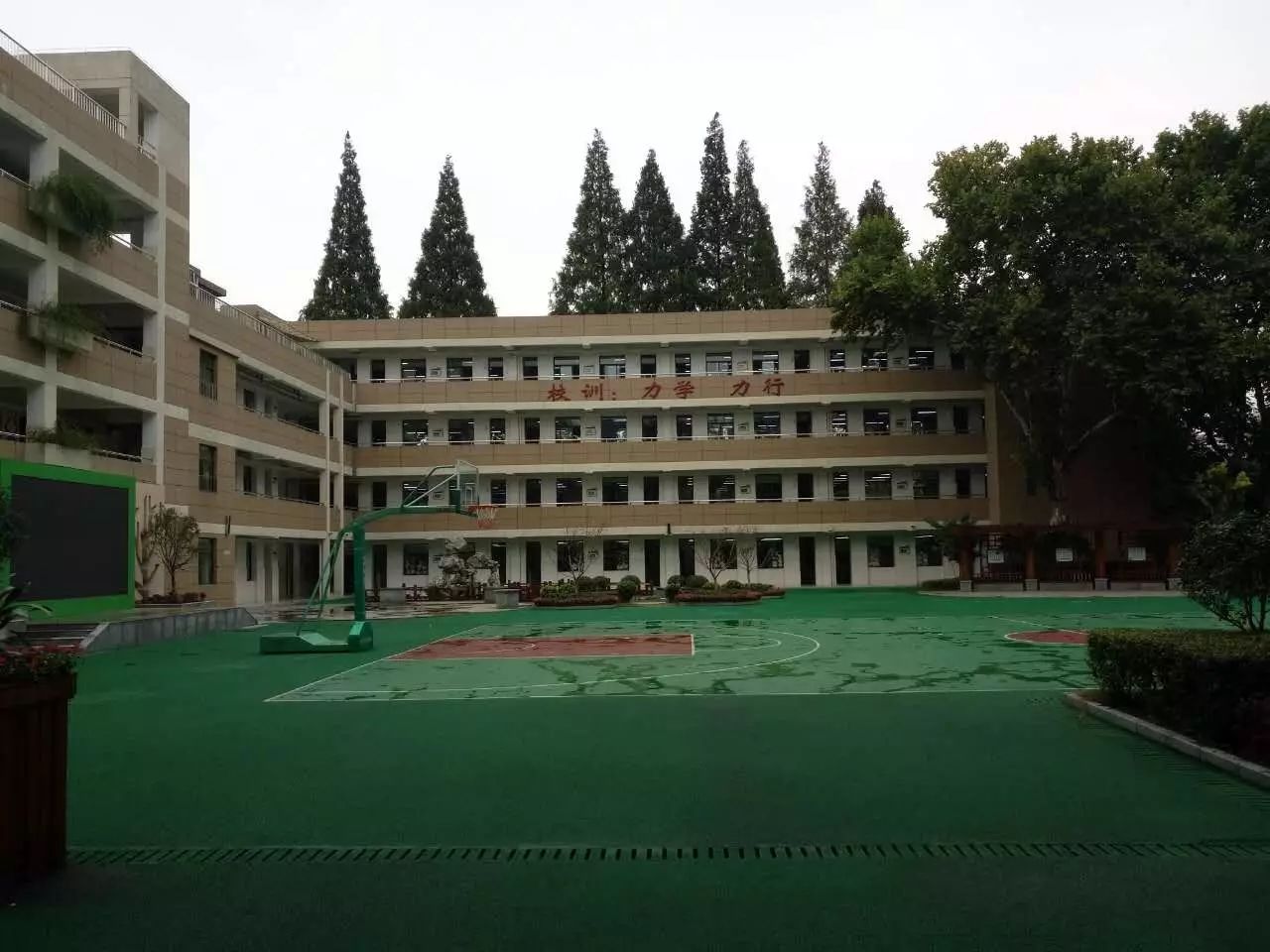 安财附属小学，培育未来的摇篮之地