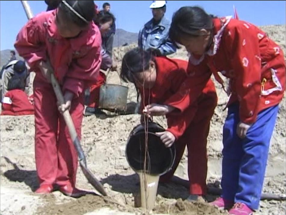 大同大学附属小学校志，传统与现代融合的标志