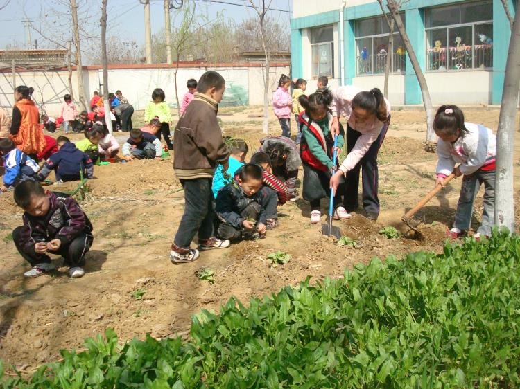 泰安肥城师范附属小学，培育未来之星的摇篮