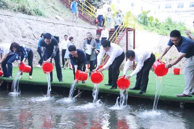 龙华油松教科院附属小学，璀璨明珠般的优质教育之源