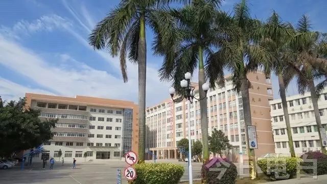 电白附属小学，培育未来的摇篮之地