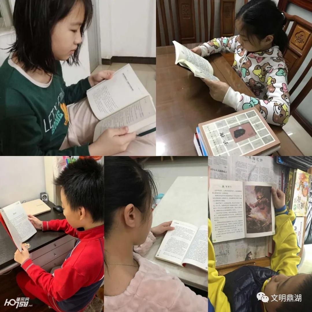 鼎湖附属小学，未来教育摇篮的孕育地