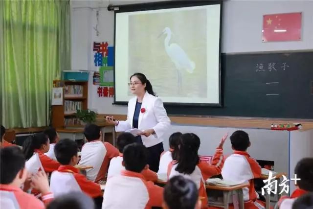 附属小学停课背后的原因及应对之策