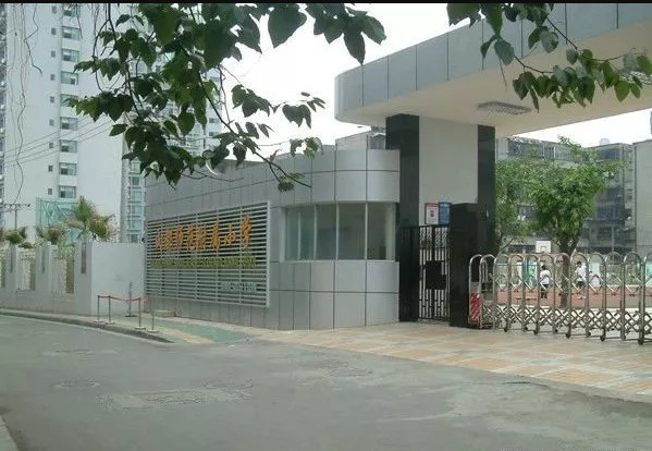 公司附属小学，培育未来之星的摇篮教育阵地