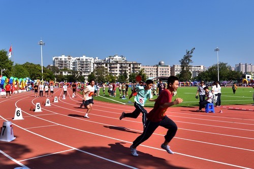 附属小学田径运动，孕育未来运动之星之旅