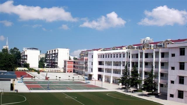 洋河小学附属小学，培育未来的教育圣地