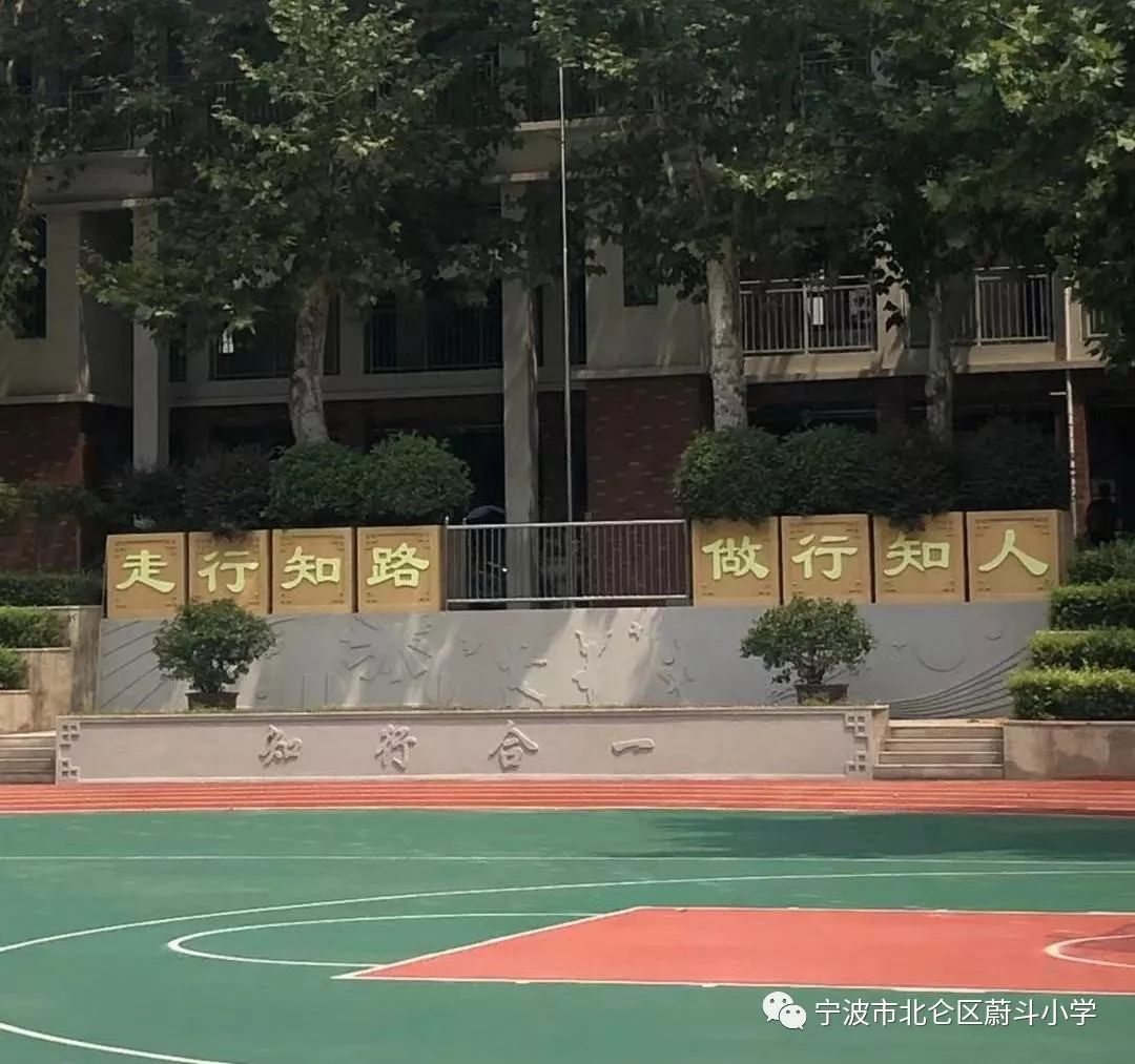 晓庄小学附属小学详细地址及其重要性解析