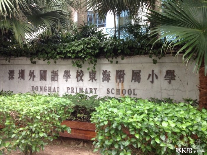 东海里小学附属小学，培育未来之星的教育瑰宝