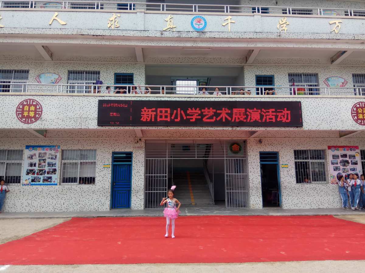 新田小学附属小学详细地址及其重要性概述