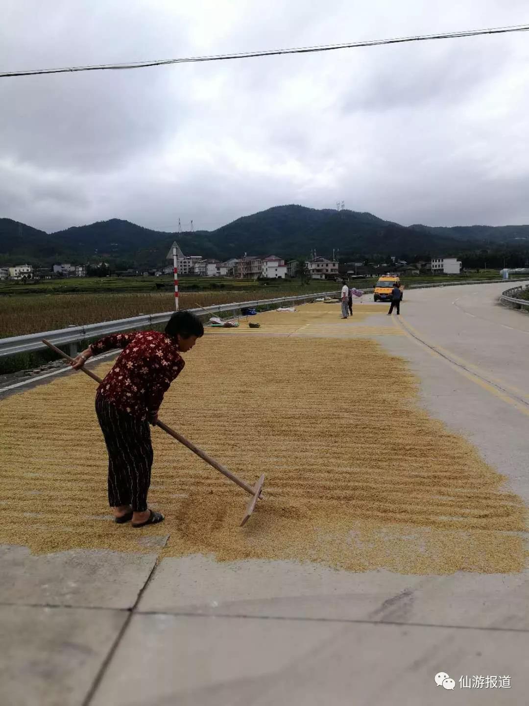 仙游附属小学，璀璨明珠的教育之光