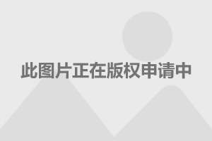 名牌学校附属小学，教育质量与社会责任的卓越融合