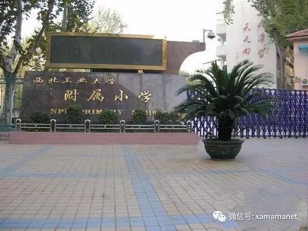 北农大附属小学，育人为本，培育未来之星