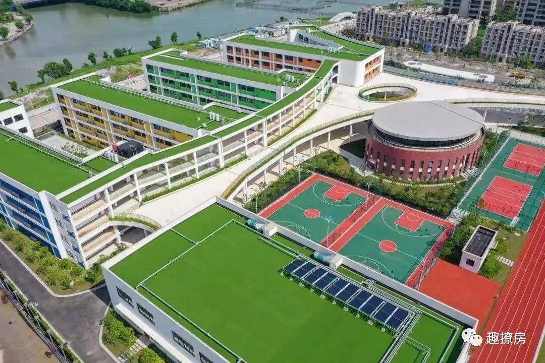 附属小学迁址北岸小学，教育变革的深刻启示