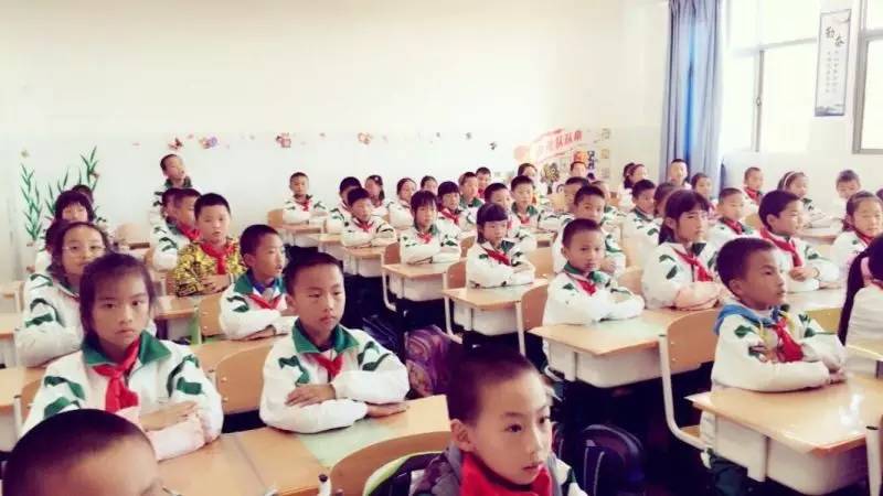 附属小学，定义与重要性解析