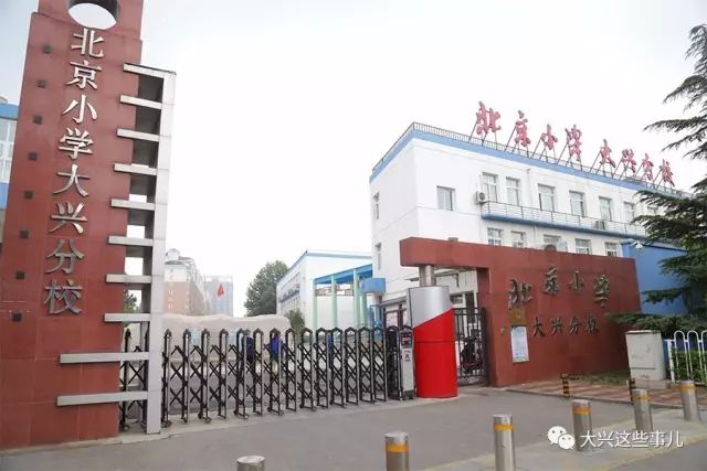 大兴大学附属小学，培育未来的摇篮之地