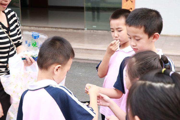 龙岩学院附属小学，培育未来之星的摇篮