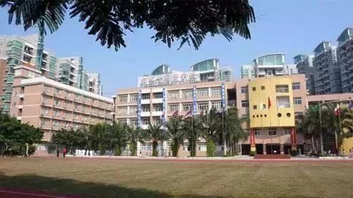 东莞师范附属小学，培育未来的摇篮之地